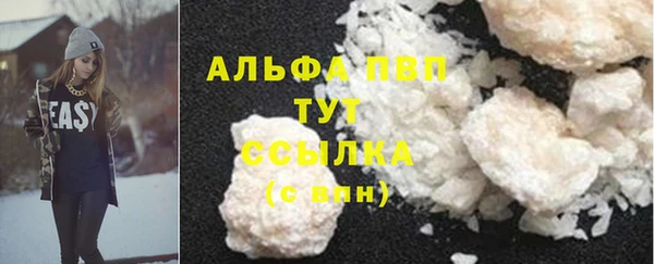 прущие грибы Бородино