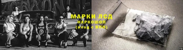 прущие грибы Бородино