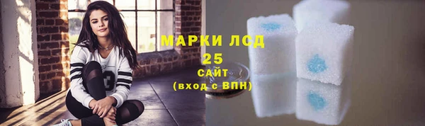 прущие грибы Бородино