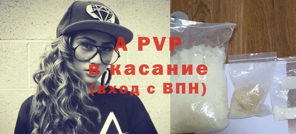 прущие грибы Бородино