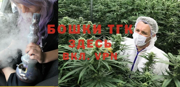 прущие грибы Бородино