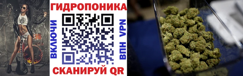 Бошки Шишки марихуана ОМГ ОМГ ONION Кириллов